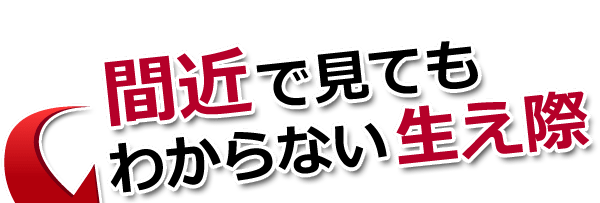 間近で見てもわからない生え際